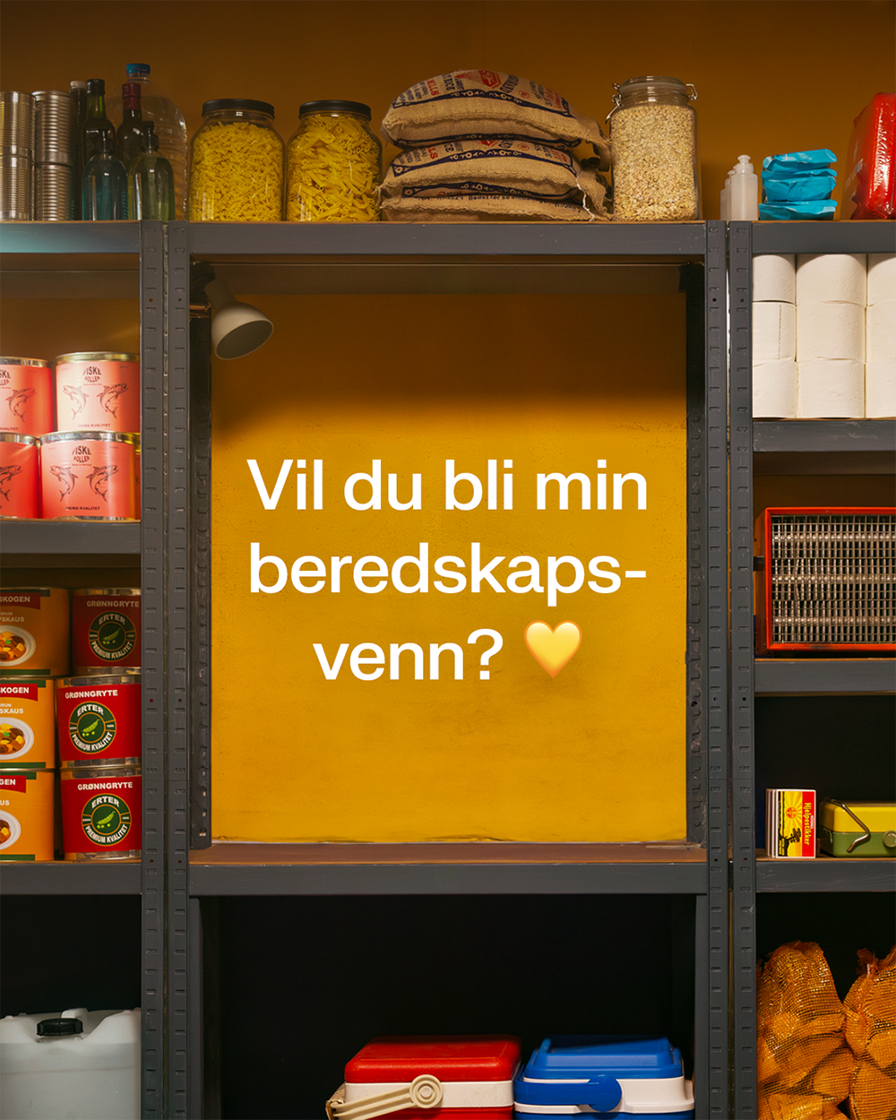 Vil du bli min beredskapsvenn - beredskapsuka 2025
